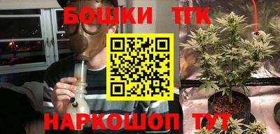 PSILOCYBIN Кулебаки