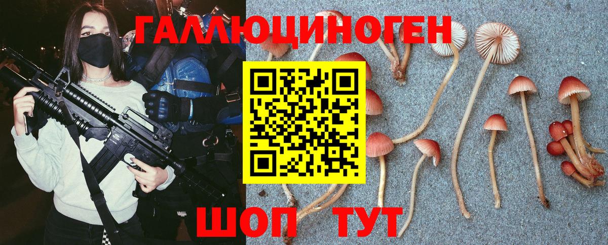 Псилоцибиновые грибы ЛСД Георгиевск