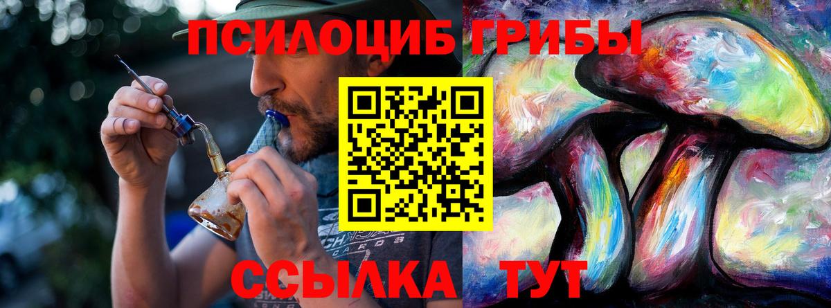 хочу   Вход с VPN  Георгиевск  Галлюциногенные грибы мицелий 